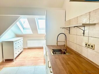 Pronájem bytu 1+kk 80 m² Plotní, Brno - Komárov