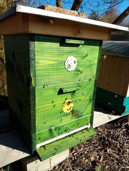 Prodám 2 včelstva RM 39x24 včetně úlů