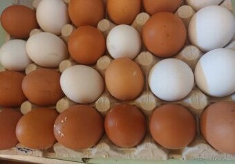 Domácí vajíčka