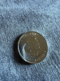 Investiční stříbrná mince Maple 2014 - 1