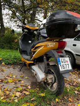 Maxon 50ccm