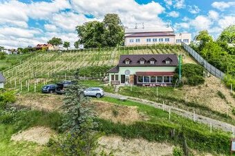 Prodej vinařství Konárovice - 1