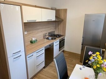 Pronájem bytu 2+1 56m2 Mšeno n.N., Arbesova, u přehrady - 1