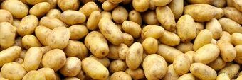 Konzumní brambory