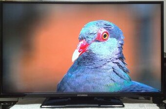 Prodam 106cm/42" LED FullHD TV Hyundai FL42267 - 2000Kc.Zar