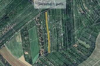 Prodej pole v k.ú. Židlochovice