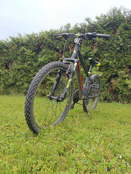 Dětské kolo Leader Fox SPIDER chlapecký 24", ŠEDÁ MAT