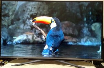 Prodam Samsung UE43KU6402U-108cm(43") 4K Ultra HD SMART WiF