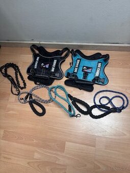 Obojek - vodítko - postroj