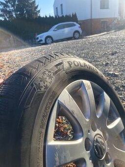 Zimní kola Braum Polaris 195/65 R15