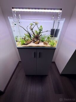 Akvárium s vybavením