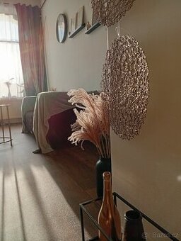 Pronájem prostoru k podnikání