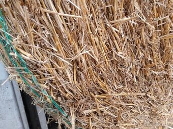 Sláma pšeničná z haly balíky 150-160cm včetně dopravy