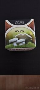 Pexeso vědomostní - Houby - 1
