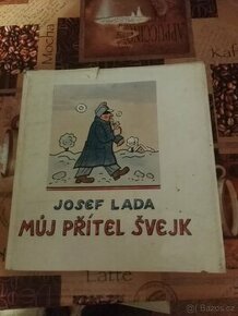 Můj přítel Švejk
