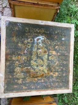 Včelstvo 39x24