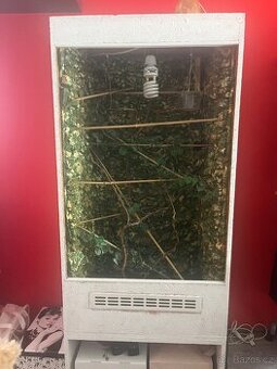 Terárirum pro chameleona