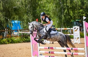 Pony klisna 7 let 125 cm