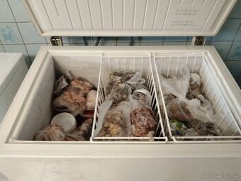 Pultovy mrazak Zanussi za odvoz