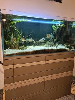 Akvárium 260l 1115x515x515mm