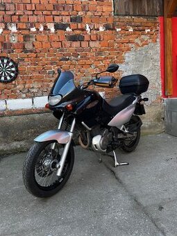 Suzuki xf freewind 650