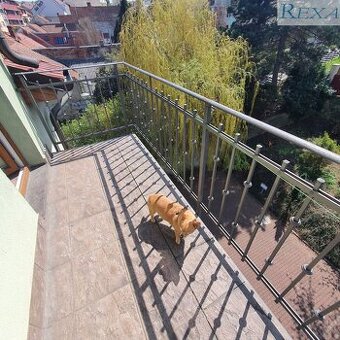 Brno Žabovřesky, Minská, nízkonákladový byt 1KK + balkon