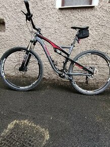 Specialized Comp 29" L - 1