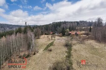 Prodej, pozemky/louka, 3901 m2, Dolní Rokytnice , Rokytnice 