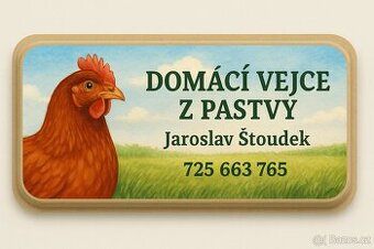 Domácí vajíčka z pastvy