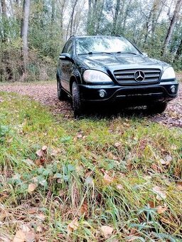 Mercedes ML163 5.0,v8-215kw LPG