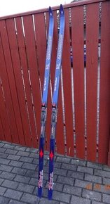 Běžky zn. MADSHUS s vázáním Salomon délky 195cm