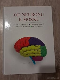 Od neuronu k mozku