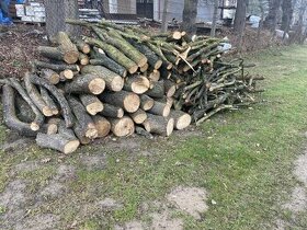 Lipové dřevo palivo - 1