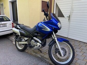 Suzuki xf 650 freewind