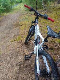 Cannondale Rush