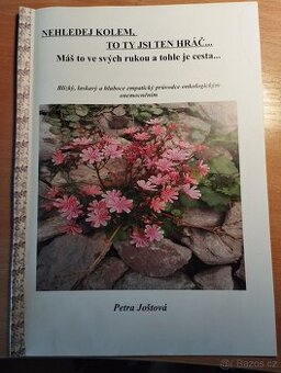 Laskavý průvodce onkol. onemocněním