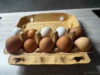 Domácí vajíčka - 1