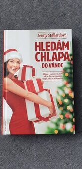 Hledám chlapa do Vánoc