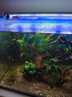 Prodam komplet akvarium - 1
