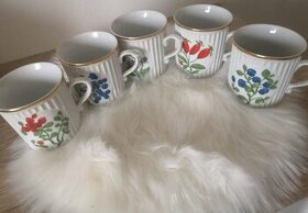 Sada 5 hrnků s motivy ovoce - retro