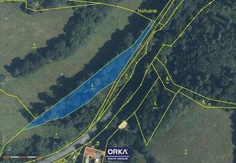 Prodej podílu 1/2 ostatní pozemky, 3 965 m2 - Odry - Veselí - 1