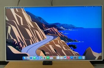 Samsung (QM65R) 65", 3840x2160 (UHD) LCD Monitor - 1