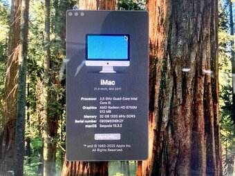 iMac 21,5" Retina | 32 GB RAM | 1 TB ssd | macOS Sequoia