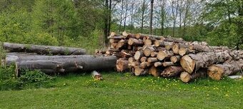 Prodej palivove dřevo