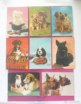 8x vintage pohlednice kočka, kočička