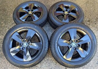 Originál sada disků Škoda Fabia III, Rapid 5x100 R15 Matone