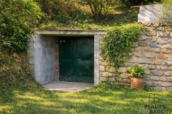 Prodej vinného sklepa ve Chvalovicích, 20 m2, Chvalovice, ok