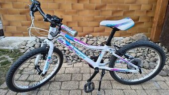 Dětské kolo Superior PAINT 20