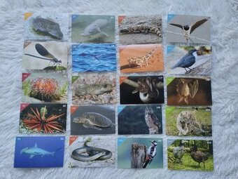 Animal kingdom samolepky