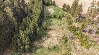 Trvalý travní porost, 4179 m2, Poděšín, okr. Žďár nad Sázavo